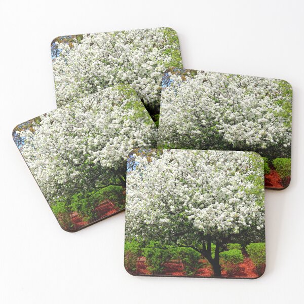 Item preview, White Yoshino Cherry Blossom designed and sold by BostonArcImage.