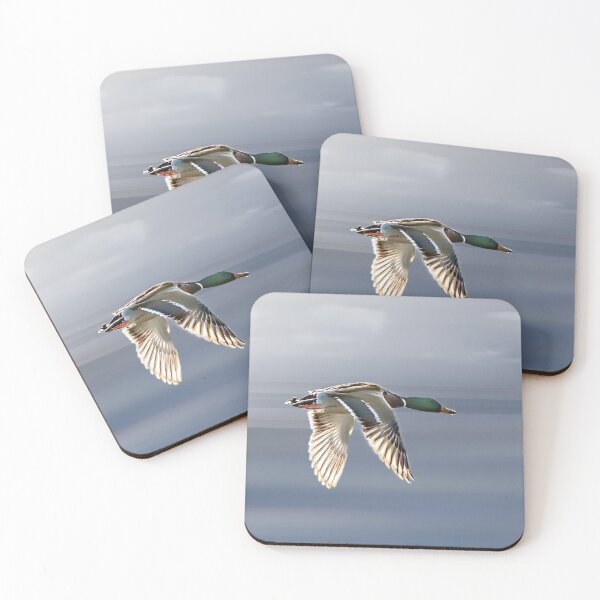 Item preview, Mallard In Flight designed and sold by CarolM.