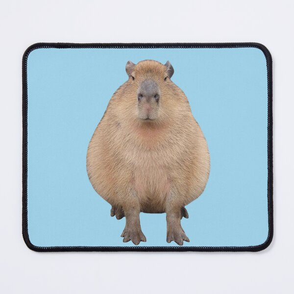 Item preview, Capybara designed and sold by tttatia.