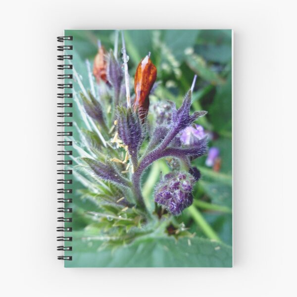 Item preview, COMFREY designed and sold by Elaine Bawden.