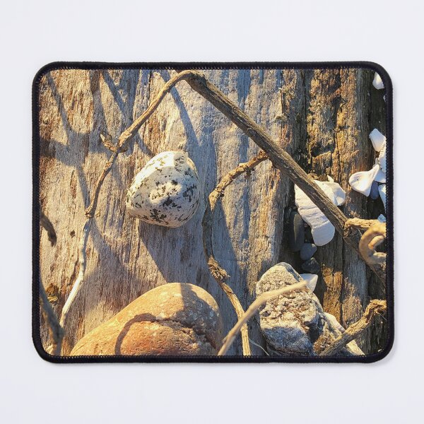 Item preview, Beach treasures designed and sold by Travelways.