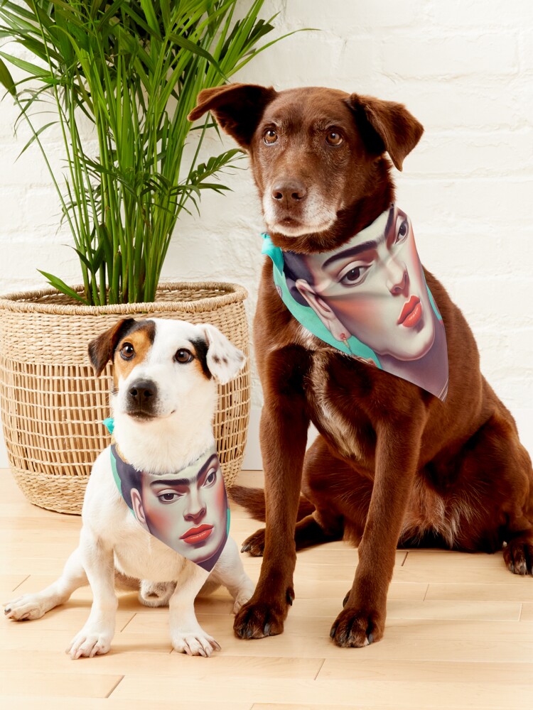 Frida kahlo dog collar hotsell