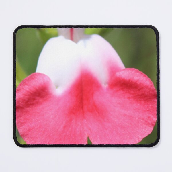 Item preview, Hot Lips Sage - Pink/White designed and sold by BattlefoxxEarth.
