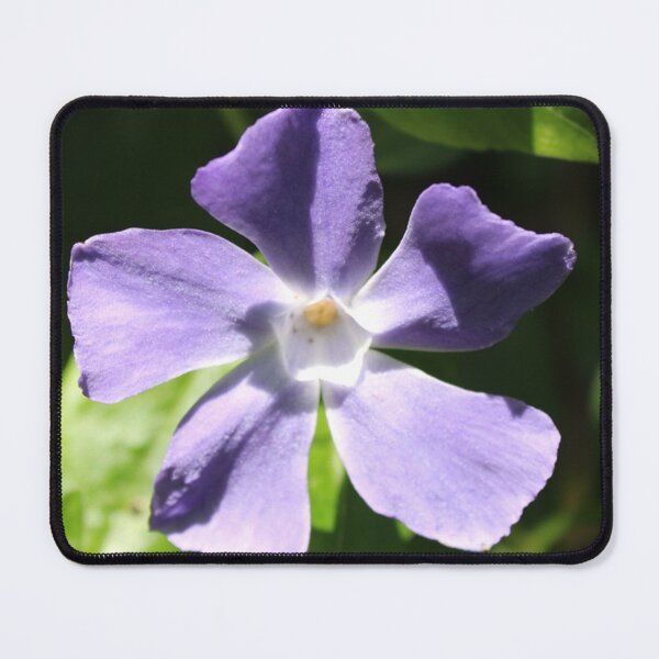 Item preview, Purple Periwinkle designed and sold by BattlefoxxEarth.