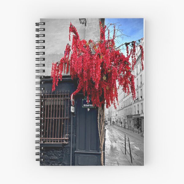 Item preview, Pop of flowers on a corner, Paris, France designed and sold by WDBD.