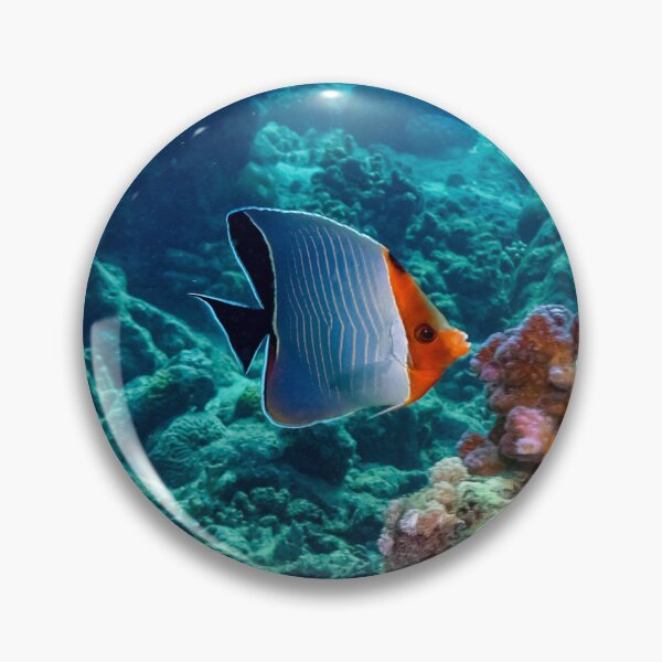 Item preview, Angelfish designed and sold by likbatonboot.