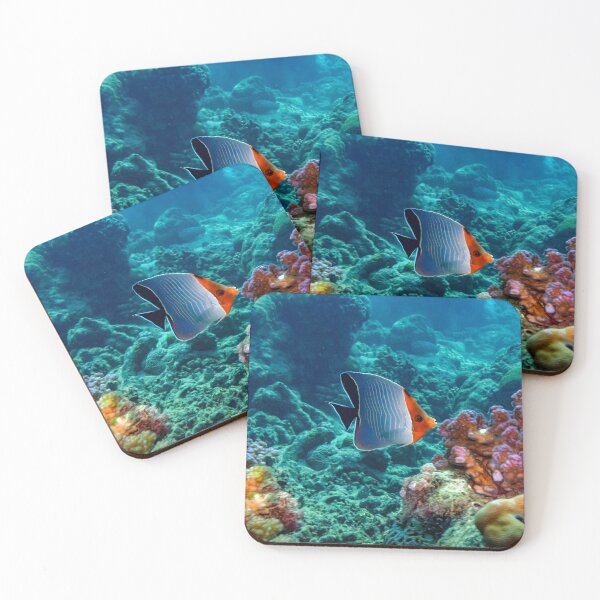 Item preview, Angelfish designed and sold by likbatonboot.