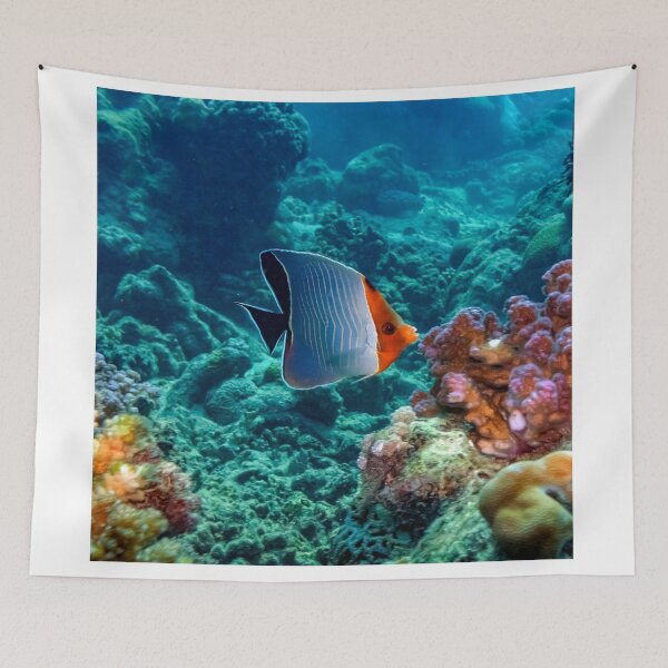 Item preview, Angelfish designed and sold by likbatonboot.
