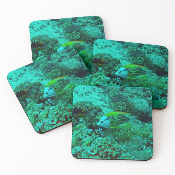 Item preview, Slingjaw Wrasse designed and sold by likbatonboot.
