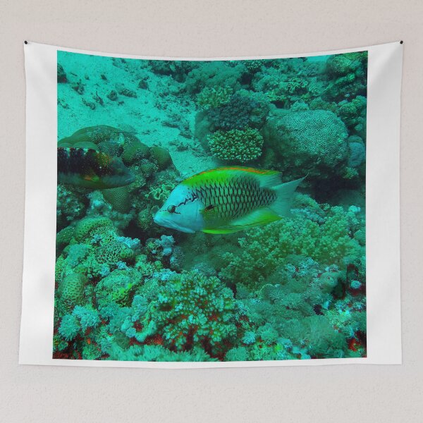 Item preview, Slingjaw Wrasse designed and sold by likbatonboot.