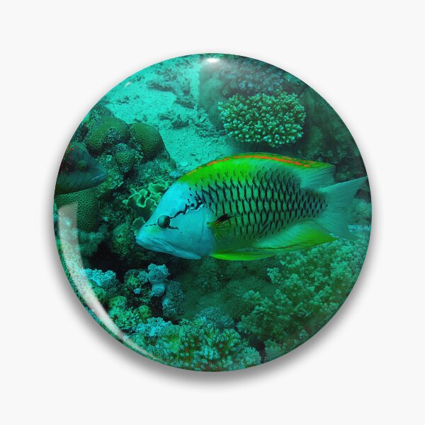 Item preview, Slingjaw Wrasse designed and sold by likbatonboot.