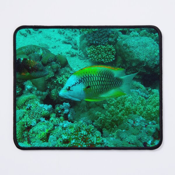 Item preview, Slingjaw Wrasse designed and sold by likbatonboot.