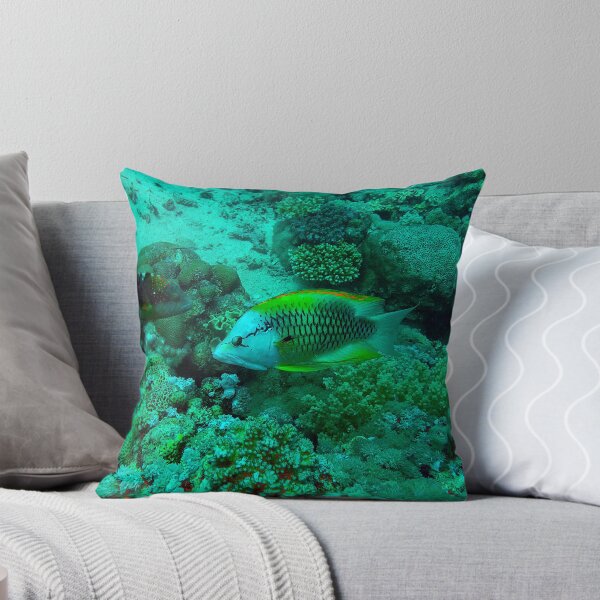 Item preview, Slingjaw Wrasse designed and sold by likbatonboot.