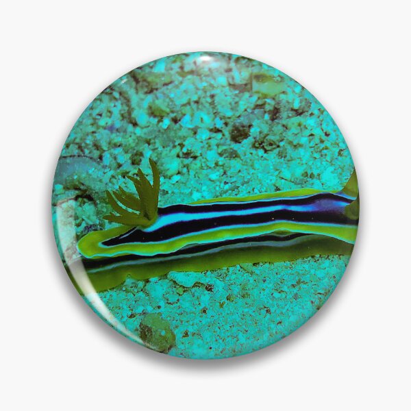Item preview, Chromodoris magnifica nudibranch designed and sold by likbatonboot.