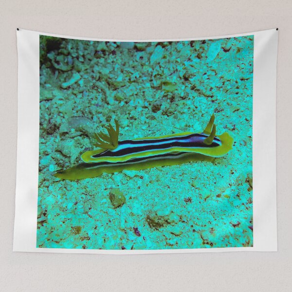 Item preview, Chromodoris magnifica nudibranch designed and sold by likbatonboot.