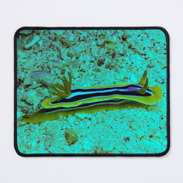 Item preview, Chromodoris magnifica nudibranch designed and sold by likbatonboot.