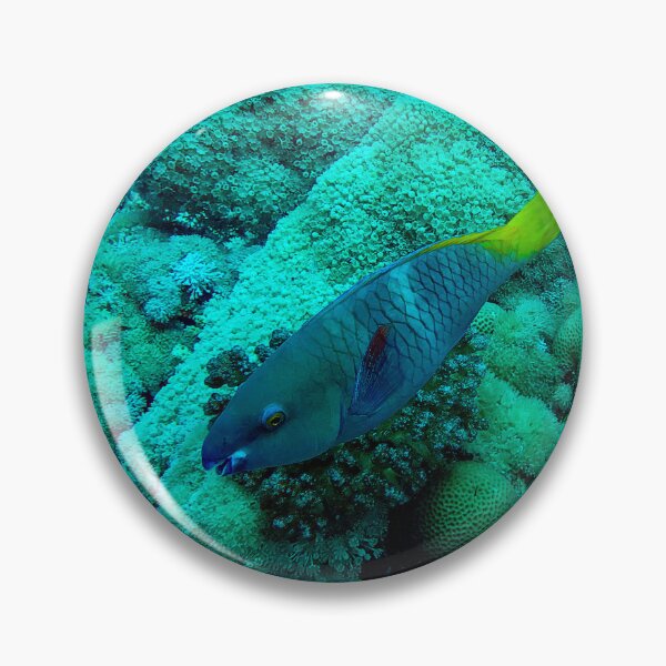 Item preview, Parrotfish designed and sold by likbatonboot.