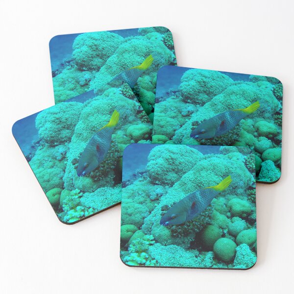 Item preview, Parrotfish designed and sold by likbatonboot.