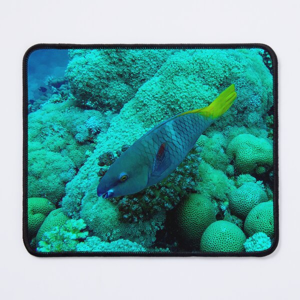 Item preview, Parrotfish designed and sold by likbatonboot.