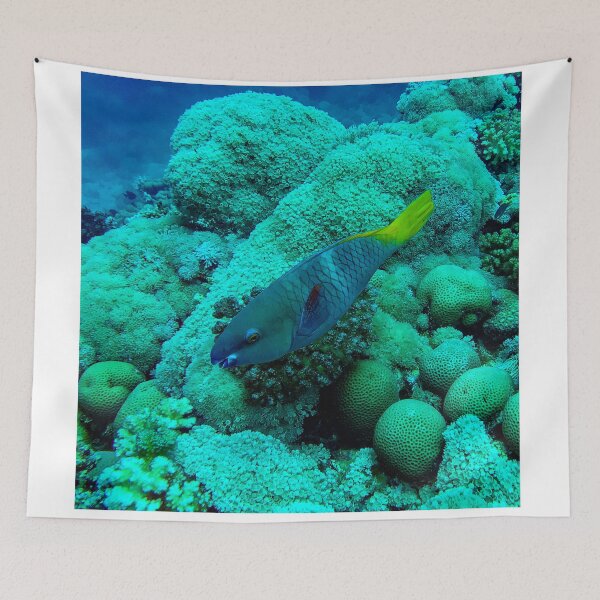 Item preview, Parrotfish designed and sold by likbatonboot.