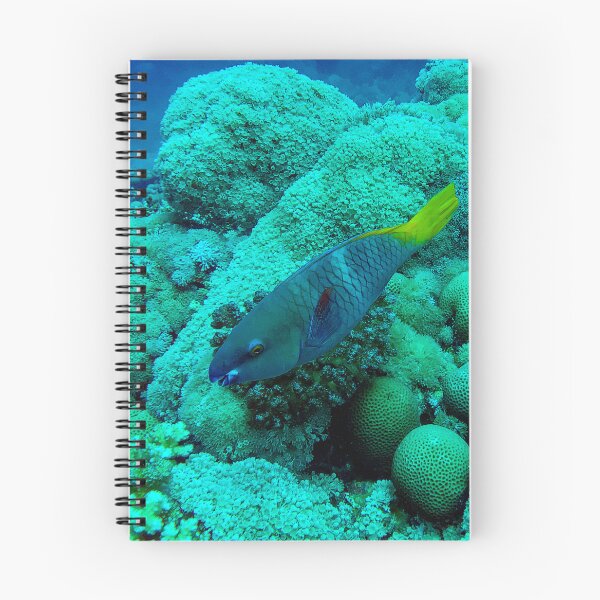 Item preview, Parrotfish designed and sold by likbatonboot.