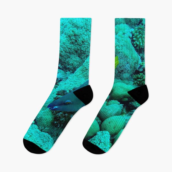 Item preview, Parrotfish designed and sold by likbatonboot.