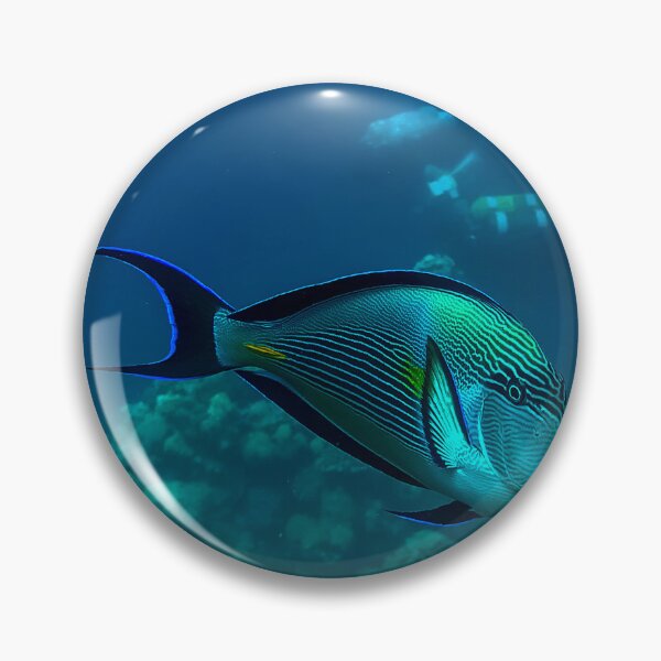 Item preview, Surgeonfish designed and sold by likbatonboot.
