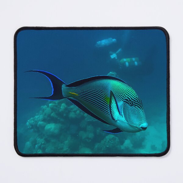 Item preview, Surgeonfish designed and sold by likbatonboot.