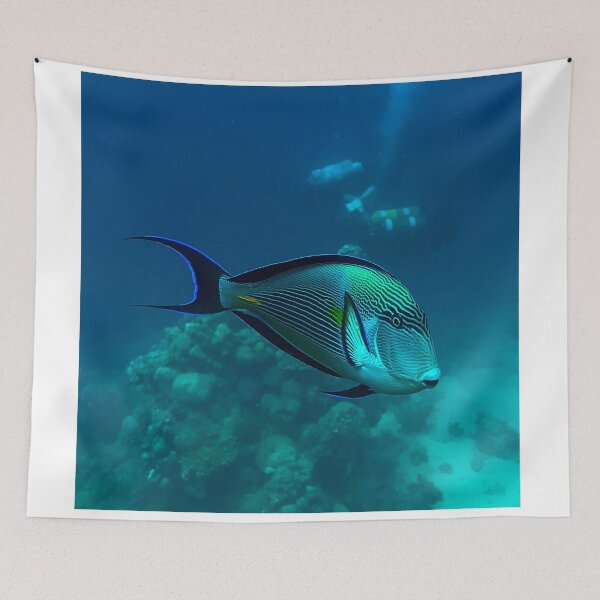 Item preview, Surgeonfish designed and sold by likbatonboot.