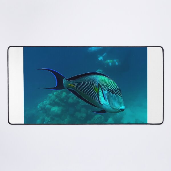 Item preview, Surgeonfish designed and sold by likbatonboot.