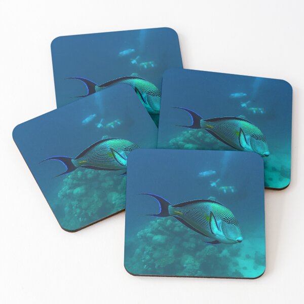 Item preview, Surgeonfish designed and sold by likbatonboot.