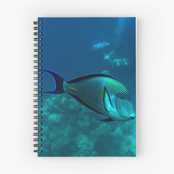Item preview, Surgeonfish designed and sold by likbatonboot.