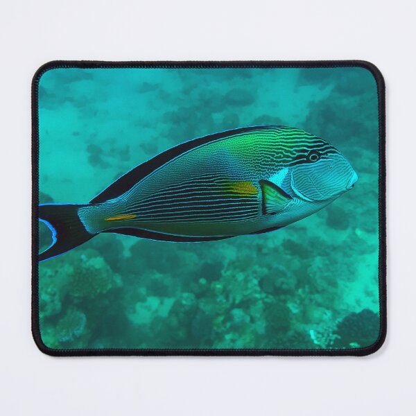 Item preview, Surgeonfish designed and sold by likbatonboot.