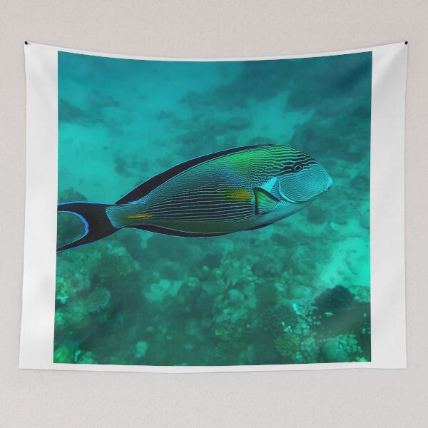 Item preview, Surgeonfish designed and sold by likbatonboot.