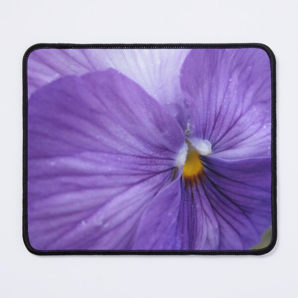 Item preview, Pansies for Anne designed and sold by efgracearts.