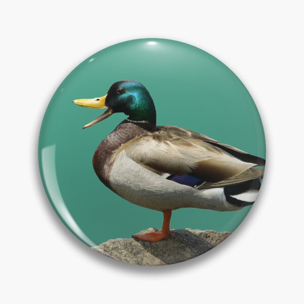 Item preview, Talking Duck designed and sold by WWbugsandslugs.