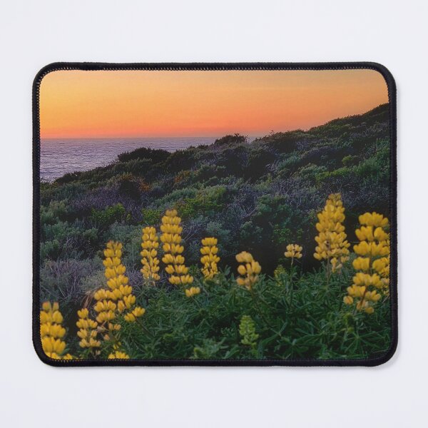 Item preview, Pasific sunset with yellow lupins designed and sold by Alla Gill.
