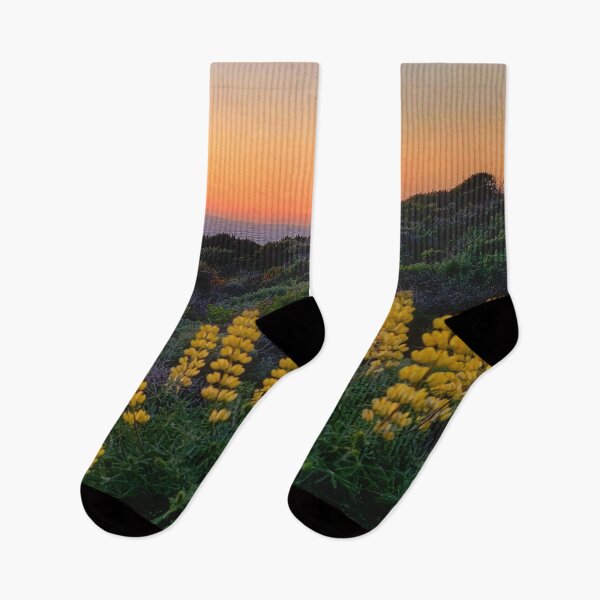 Item preview, Pasific sunset with yellow lupins designed and sold by Alla Gill.