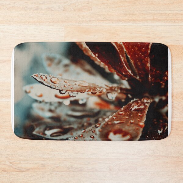 Item preview, A Water-Drenched Succulent designed and sold by VMKPhotography.