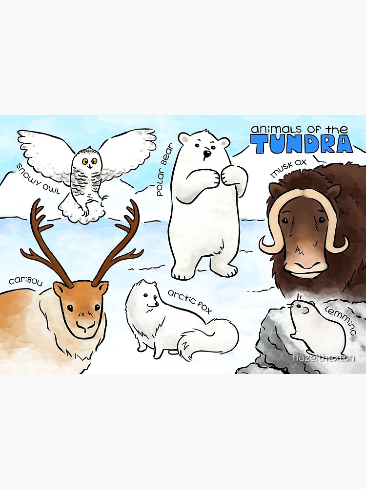 Tundra Tiere Clipart