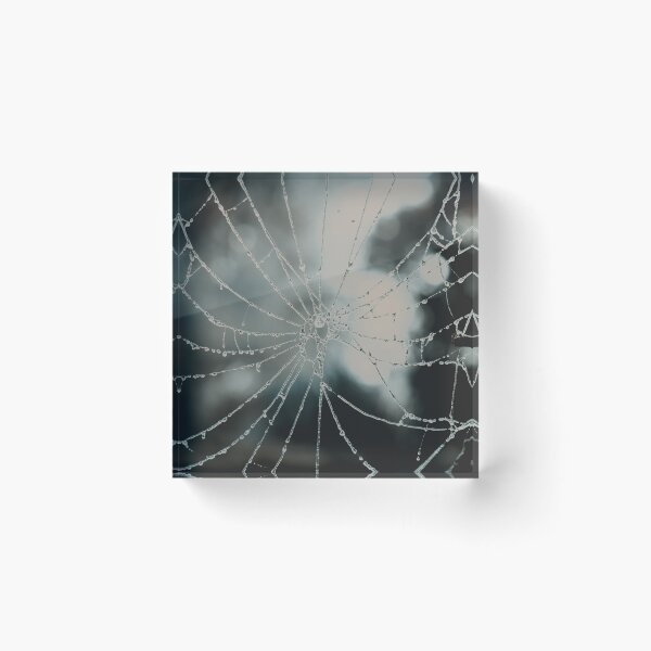 Item preview, Spider Web in Deep Winter designed and sold by VMKPhotography.