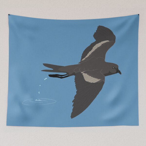 Item preview, Black Storm-Petrel designed and sold by BennuBirdy.
