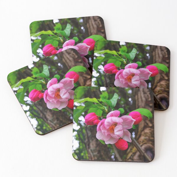 Item preview, APPLE BLOSSOM designed and sold by JoAnnHayden.