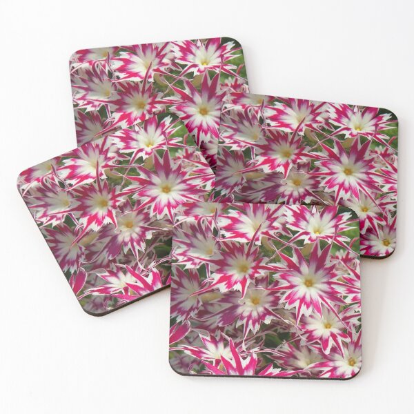 Artikelvorschau, Seltene schöne Phlox Popstar Rose Blume entworfen und verkauft von Coexist In Tee's .