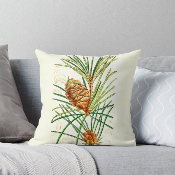Item preview, Pine Cone Branch  ~ Vintage Botanical Illustration designed and sold by dholland57.