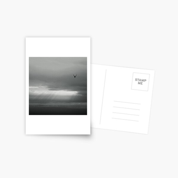 flying solo... Postcard