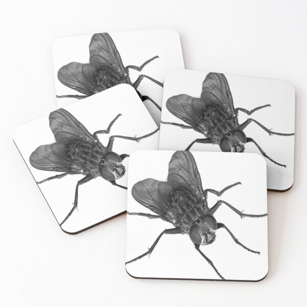 Item preview, American white winged black flies landed food designed and sold by BraxJohns97.