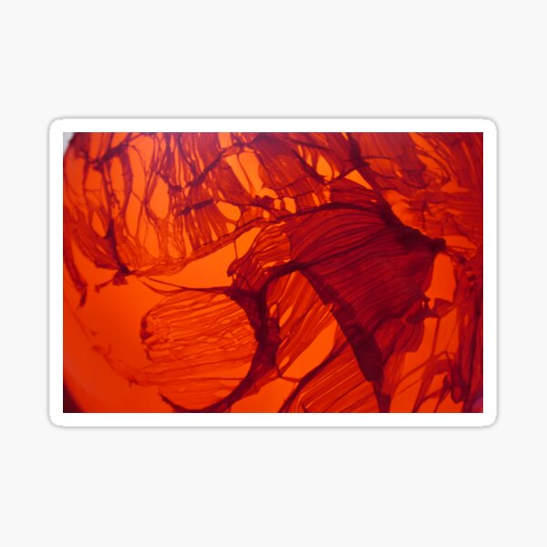 Eruption Sticker