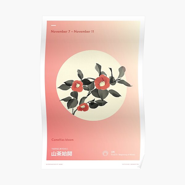 Camellias Bloom Poster