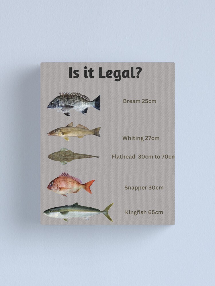 Is it legal? Fish Size Limit Fish Chart Canvas Print for Sale by